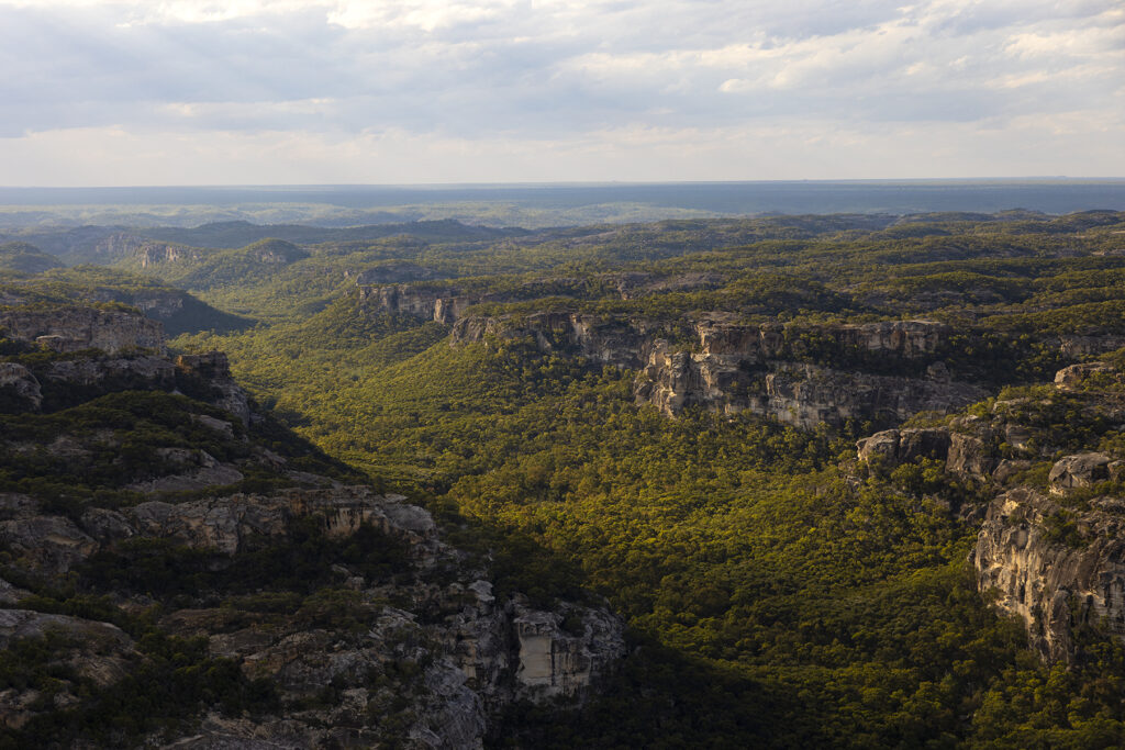 Aerial View White Mountains National Park