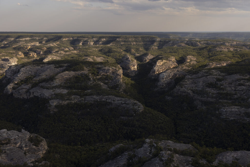 White Mountains National Park from above