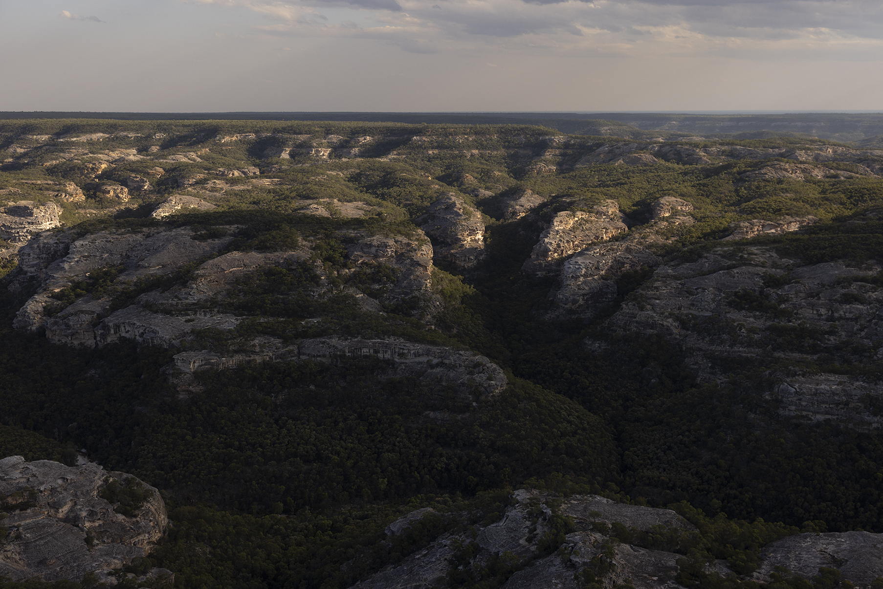 White Mountains National Park from above