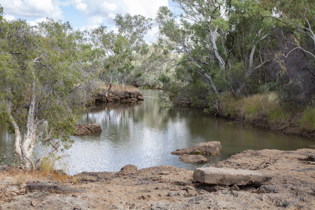 The Permanent Billabong of Kooroorinya Nature Reserve