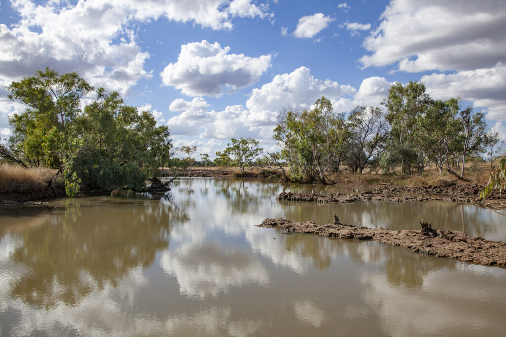 Kooroorinya Billabong