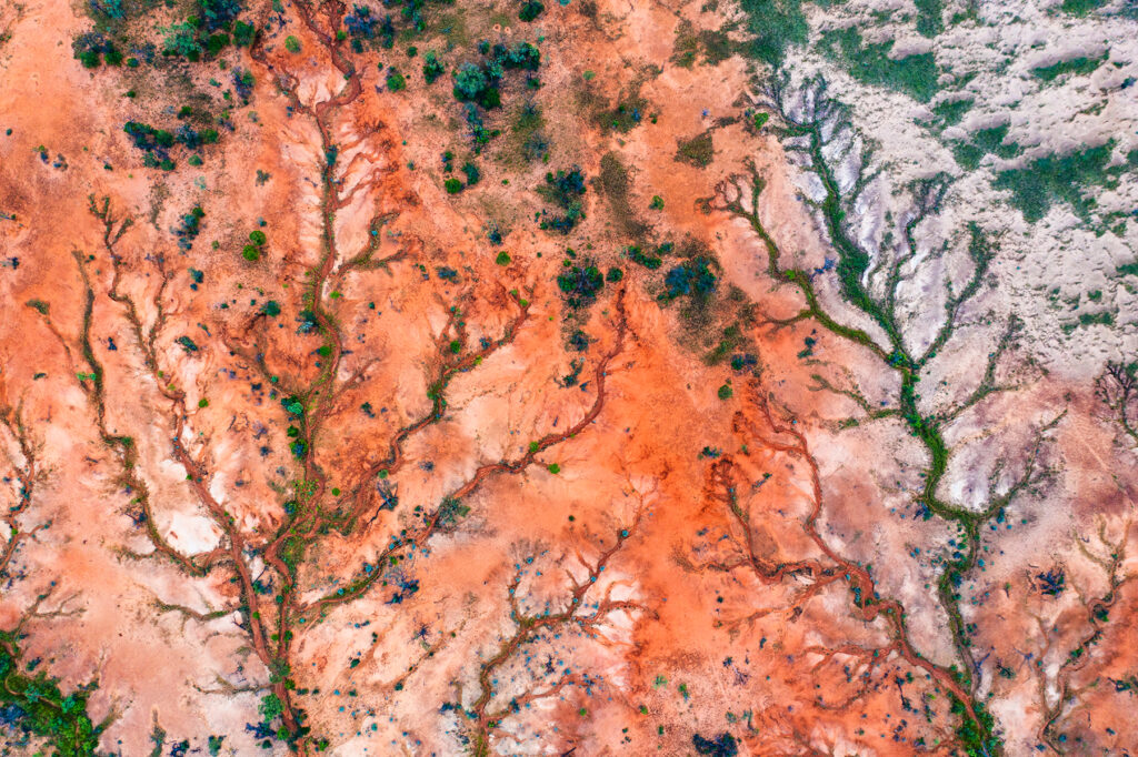 Kooroorinya's network of billabongs from above