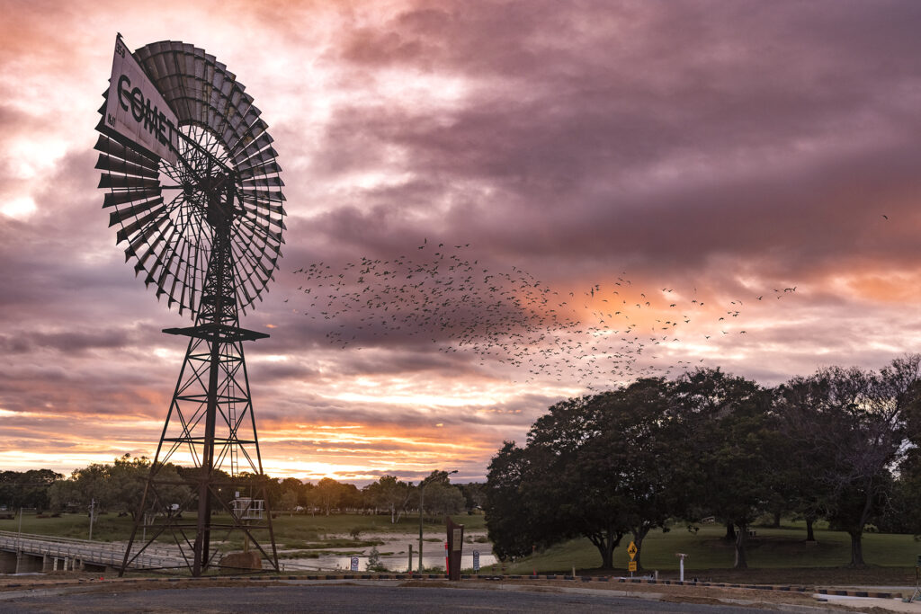 The Comet Windmill on the Flinders Rivers
