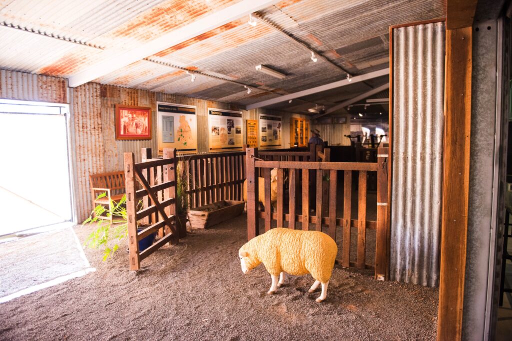 Shearing Display at FDC