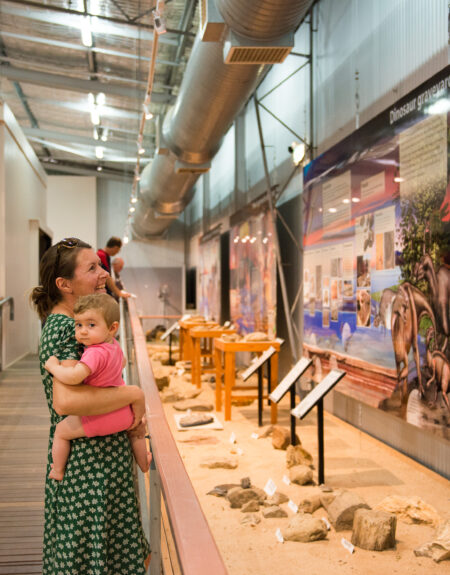 Fossil Display at FDC