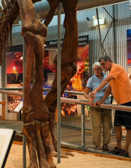 "Hughie" a life size skeletal replica of a Muttaburrasaurus