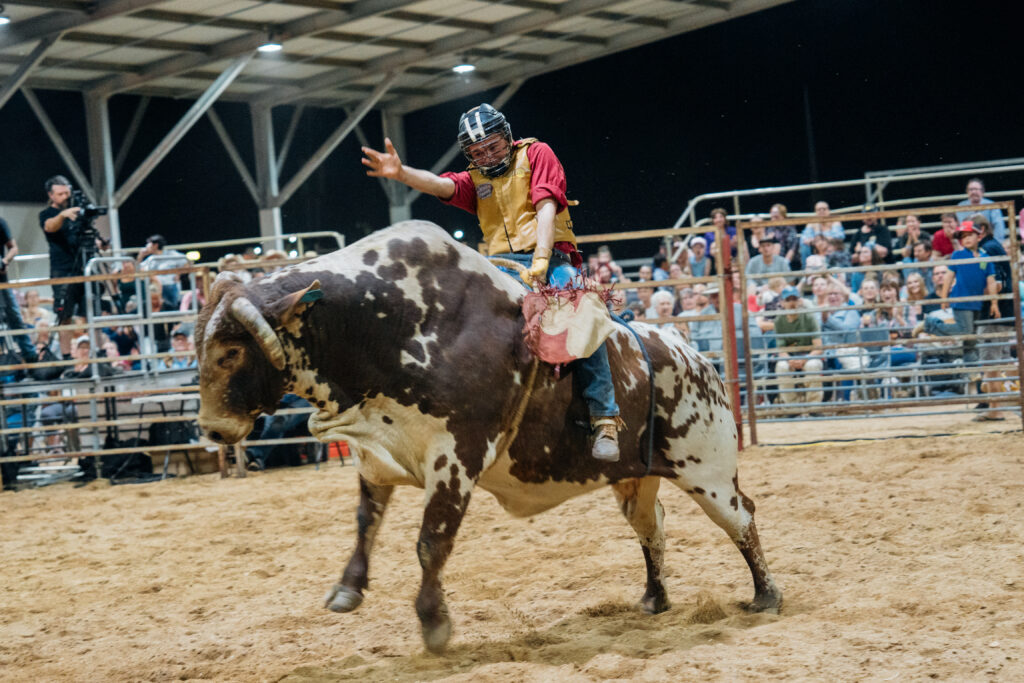 Bull Ride Competitor at Festival of Outback Skies